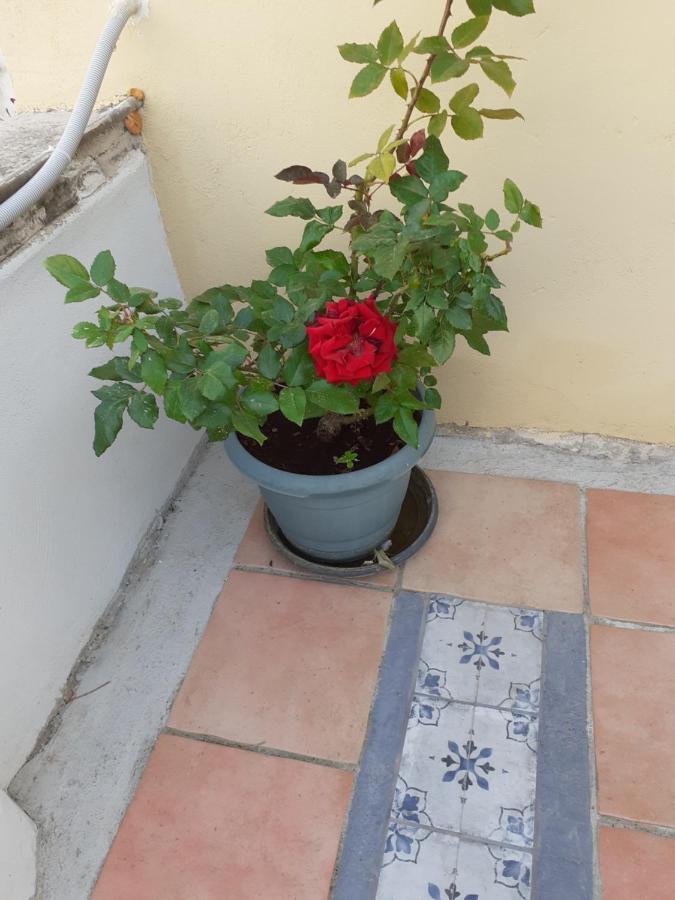 Ferienwohnung 17 Flats And Roof Garden Athen Exterior foto