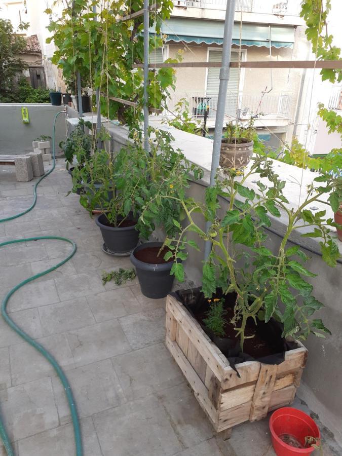 Ferienwohnung 17 Flats And Roof Garden Athen Exterior foto